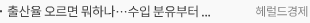 출산율 오르면 뭐하나…수입 분유부터 유모차까지 다 올랐다